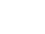 Coup D’Etat